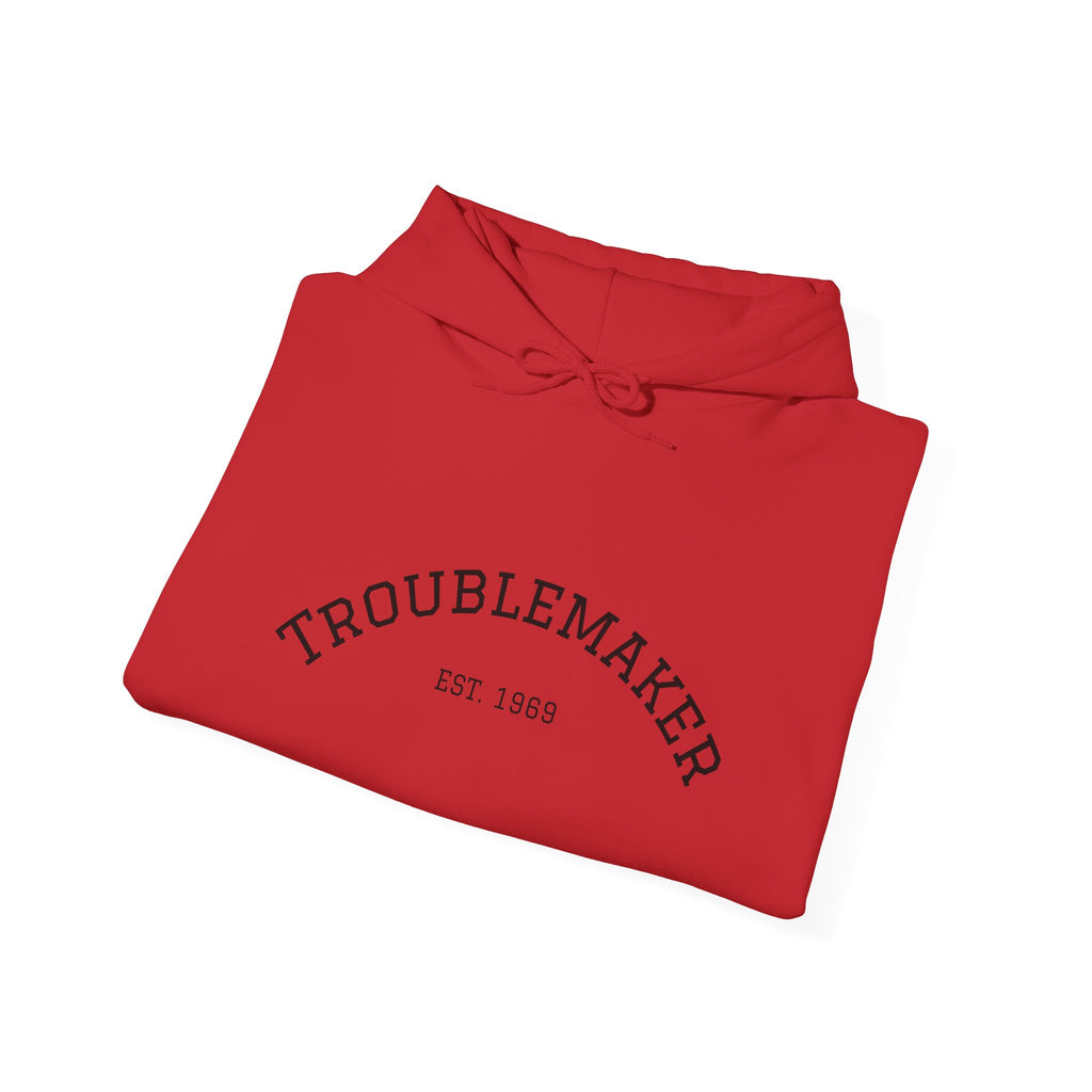 Troublemaker Unisex Hoodie - Heavy Blend™